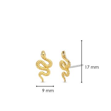 TI SENTO Women’s earrings, silver (925°), 7826SY