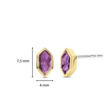TI SENTO Women’s earrings, silver (925°), 7944PU