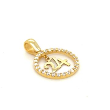 Lucky charm pendant 2024, gold K9 (375°), with zircon