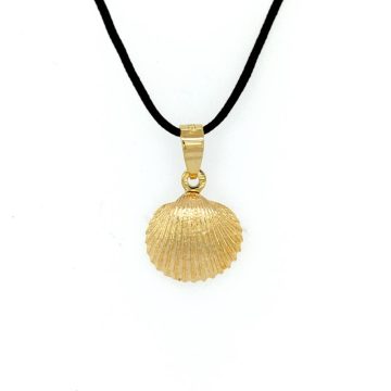 Pendant shell, with black cord-Gold K14 (585°)