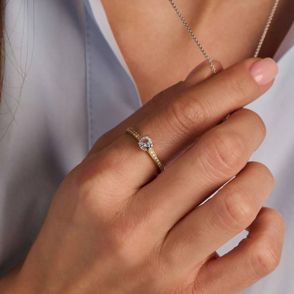 12109ZY 13 cb47db69 f539 4e3f 837a 101aba470060 1080x